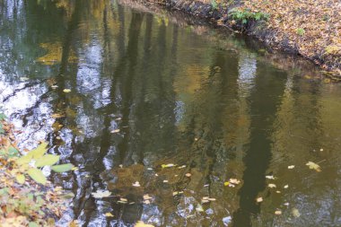 Ekim ayında parkta fırtınalı nehir suyu