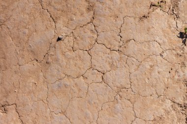 Arka plan ve dokular için parktaki kuru çatlak zemin