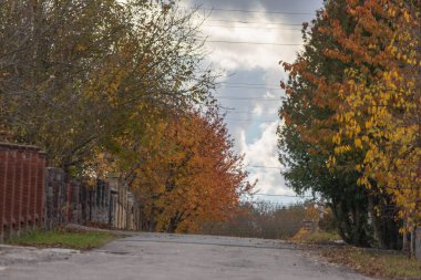 Ekim ayındaki güzel sonbahar manzarası. Sarı yapraklar, ağaçlar, park.