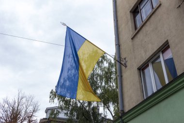 Parktaki bayrak direğinde Ukrayna 'nın mavi ve sarı bayrağı