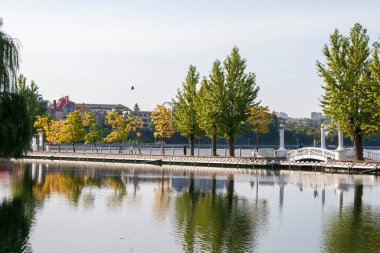 Eylül ayında göletin yanındaki parkta sonbahar manzarası