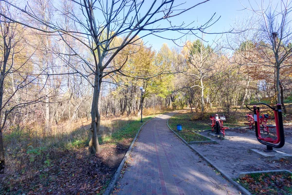 Hermoso Paisaje Otoñal Bosque Árboles Hojas Amarillas Octubre — Foto de Stock