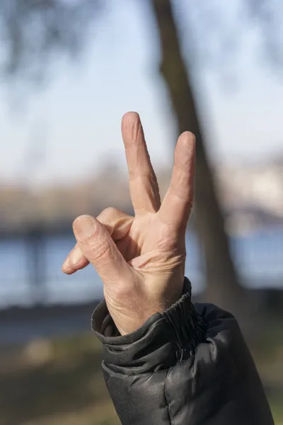 Eine Hand Und Fingergeste Die Den Sieg Symbolisiert Die Hand — Stockfoto