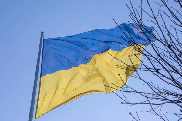 Жовтий Синій Прапор України Тлі Синього Неба — стокове фото