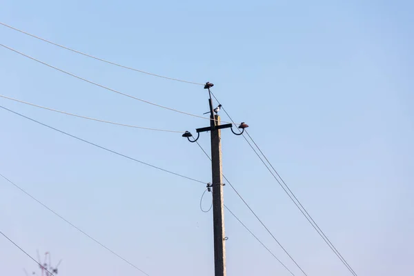 Stromleitungen Auf Einem Mast Vor Dem Hintergrund Des Himmels — Stockfoto