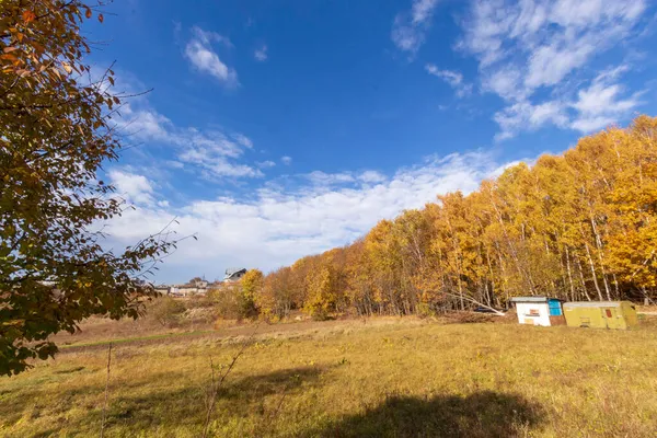 Herbstliche Landschaft Und Schöne Landschaften Gelbe Blätter Grünes Gras Schönen — Stockfoto