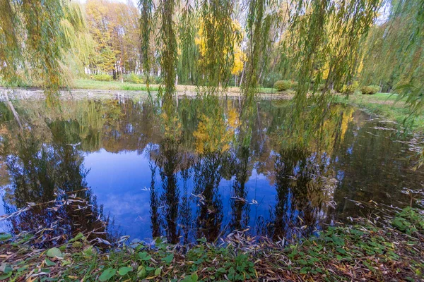 Вода Пруду Парке Прекрасную Осеннюю Погоду — стоковое фото