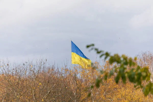 Блакитний Жовтий Прапор України Флагштоку Парку — стокове фото