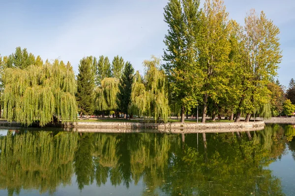 Eylül ayında göletin yanındaki parkta sonbahar manzarası