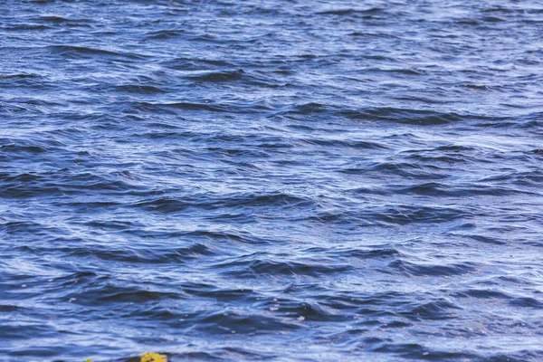 Sonbahar Soğuk Suyu Gölette Dalgalar Ekim — Stok fotoğraf