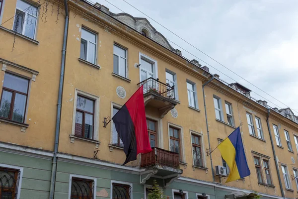 Синий Желтый Флаг Украины Флагштоке Парке — стоковое фото