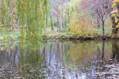 Sonbahar soğuk suyu gölette ve dalgalar Ekim 'de