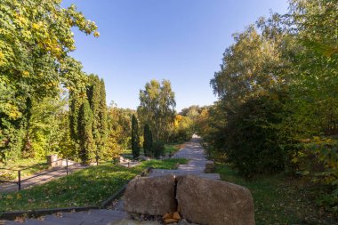 Ekim ayındaki güzel sonbahar manzarası. Sarı yapraklar, ağaçlar, park.