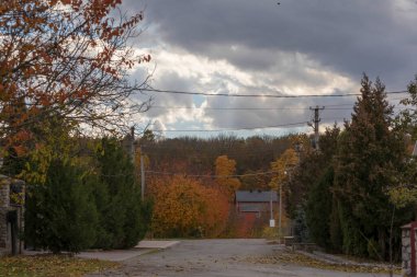 Ekim ayındaki güzel sonbahar manzarası. Sarı yapraklar, ağaçlar, park.