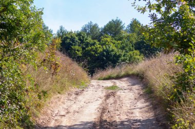 Ekim ayındaki güzel sonbahar manzarası. Sarı yapraklar, ağaçlar, park.