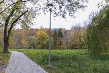 Ekim ayındaki güzel sonbahar manzarası. Sarı yapraklar, ağaçlar, park.