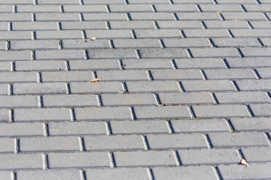 Güneşli bir günde arka planlar ve dokular için beton kaldırım
