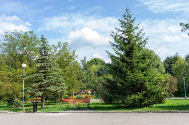 Ekim ayındaki güzel sonbahar manzarası. Sarı yapraklar, ağaçlar, park.