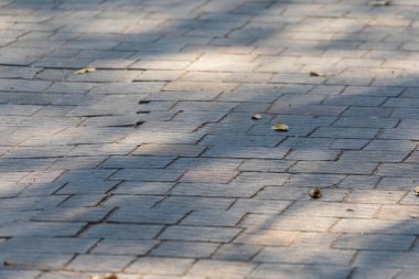 Güneşli bir günde arka planlar ve dokular için beton kaldırım