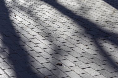 Parktaki arka planlar için beton kaldırım dokusu