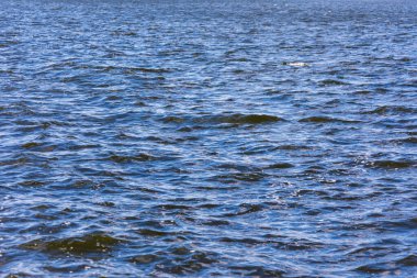 Sonbahar soğuk suyu gölette ve dalgalar Ekim 'de