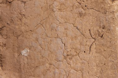 Arka plan ve dokular için parktaki kuru çatlak zemin