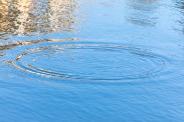 Ekim 'de gölde güzel bir sonbahar suyu