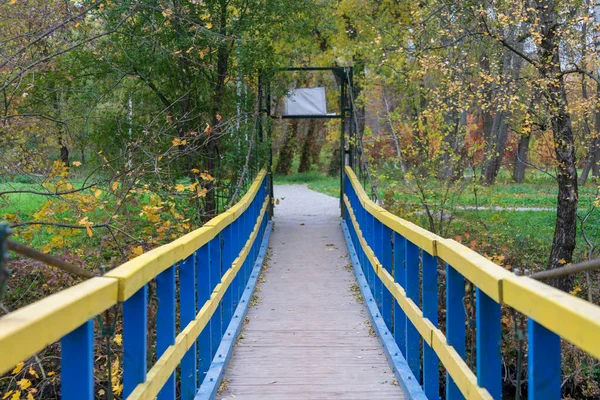 Ponte Sospeso Legno Sul Fiume Nel Parco Autunno — Foto Stock
