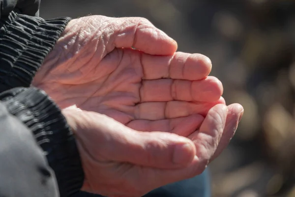 Palmas Das Mãos Velho Que Estão Vazias São Dobradas Juntas — Fotografia de Stock