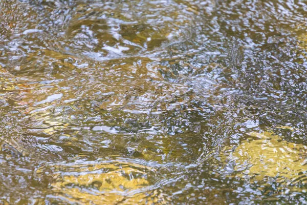 Осінь Холодна Вода Ставку Хвилі Жовтні — стокове фото