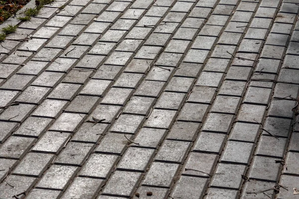 Pavé Béton Pour Les Décors Les Textures Par Une Journée — Photo