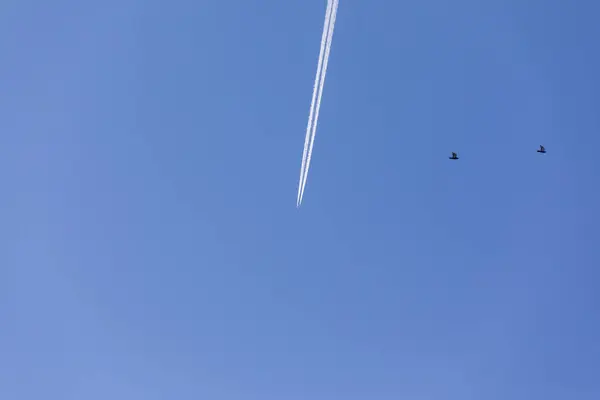 Das Flugzeug Liegt Blauen Himmel Und Hinterlässt Eine Weiße Spur — Stockfoto