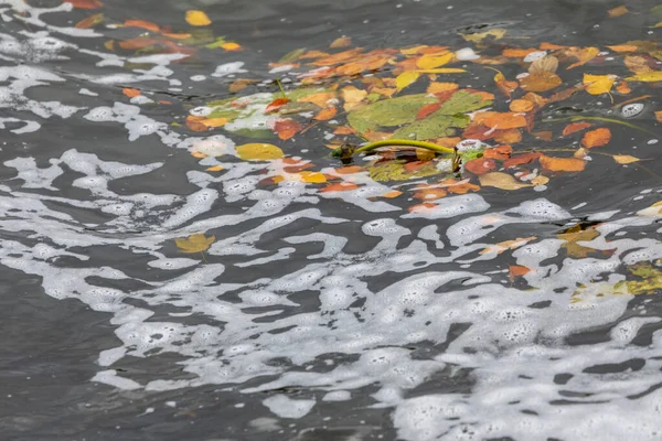 Air Sungai Stormy Taman Pada Bulan Oktober — Stok Foto