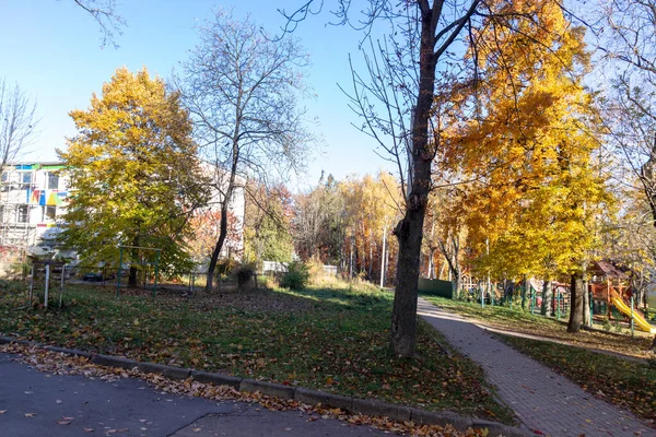 Bellissimo Paesaggio Autunnale Ottobre Foglie Gialle Alberi Parco — Foto Stock