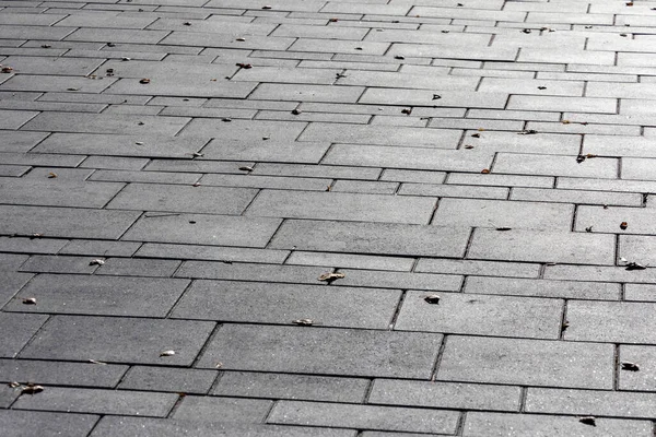 Parktaki arka planlar için beton kaldırım dokusu