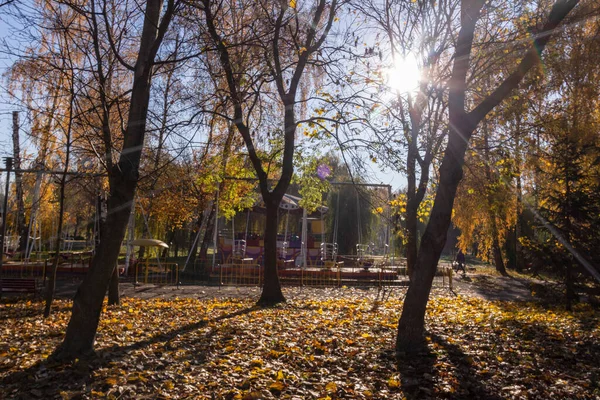 Όμορφο Φθινοπωρινό Τοπίο Τον Οκτώβριο Κίτρινα Φύλλα Δέντρα Πάρκο — Φωτογραφία Αρχείου