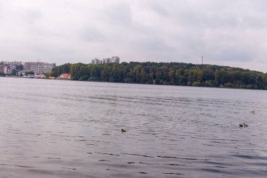 Ekim ayında sonbahar parkındaki gölde su.