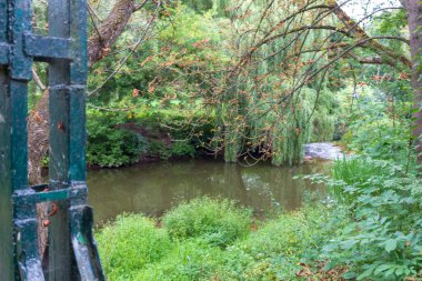 Ekim ayında sonbahar parkındaki gölde su.