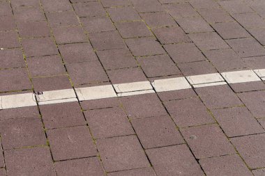 Parktaki arka planlar için beton kaldırım dokusu