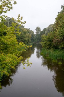 Sonbahar parkında nehirde su