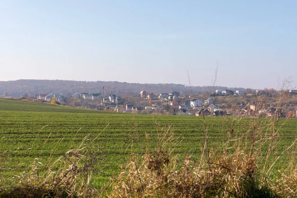 Residential Area Houses Horizon — Stock Photo, Image