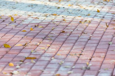 Arkaplan ve dokular için kırmızı dikdörtgen kaldırım