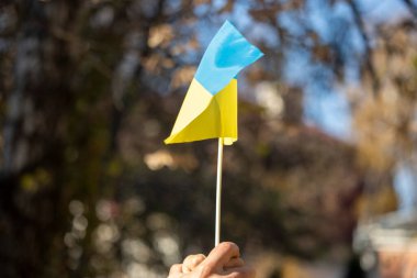 Ukrayna 'nın küçük sarı ve mavi bayrağı ellerinde