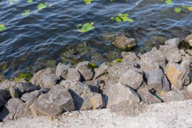 Ekim ayında sonbahar parkındaki gölde su.