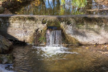 Parktaki nehirde fırtına gibi akan su ve akıntı.