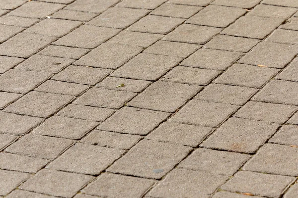 Texture Pavimentazione Cemento Sfondi Nel Parco — Foto Stock