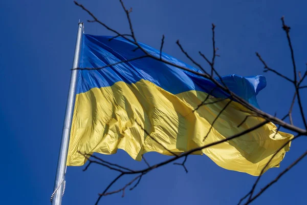 Staatliche Blau Gelbe Flagge Der Ukraine Park Auf Einem Fahnenmast — Stockfoto