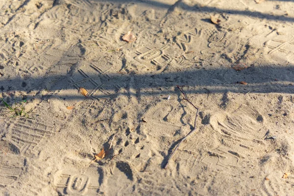 공원에 모래의 발자국 — 스톡 사진