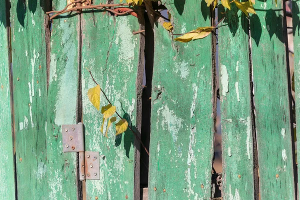 Green Wooden Fence Parallel Boards — Stock Photo, Image