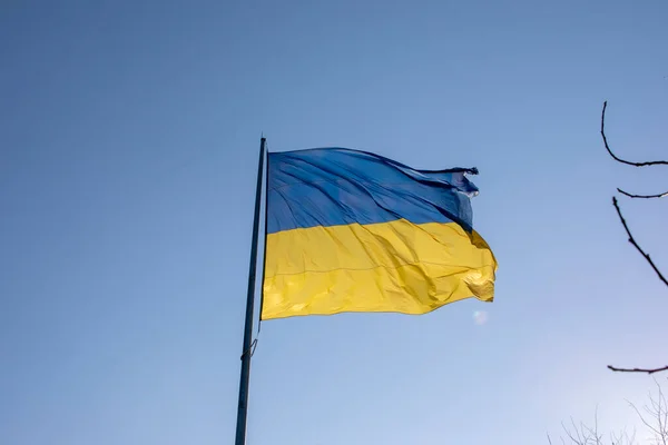 Желто Голубой Флаг Украины Фоне Голубого Неба — стоковое фото